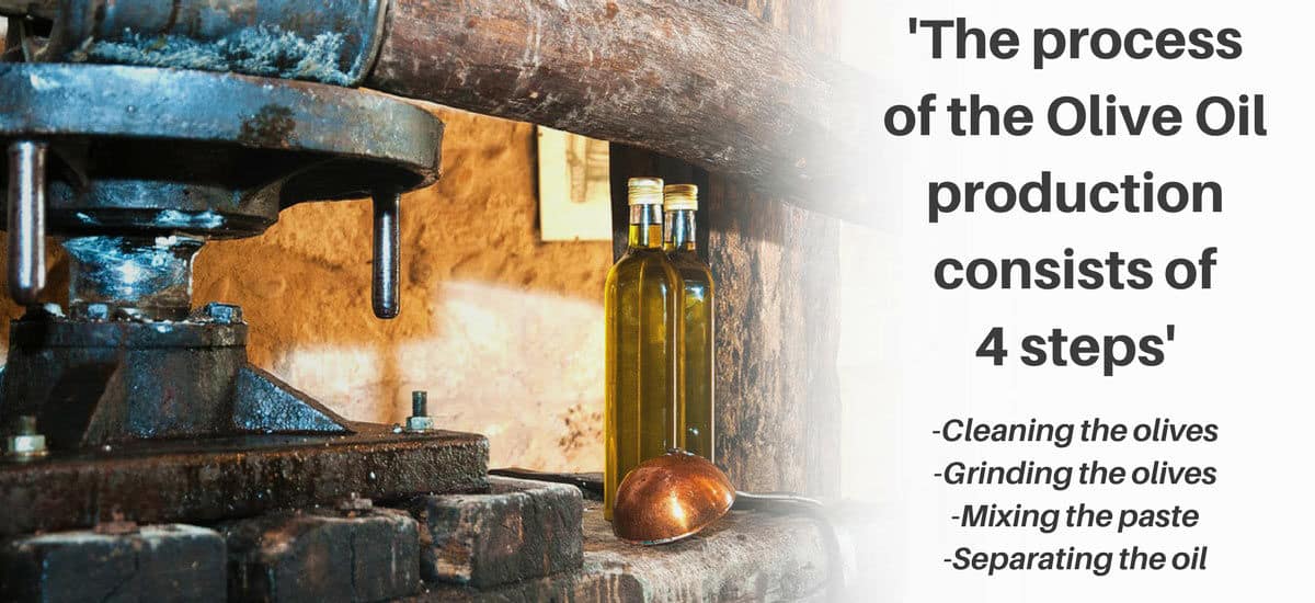 Production-Of-Olive-Oil