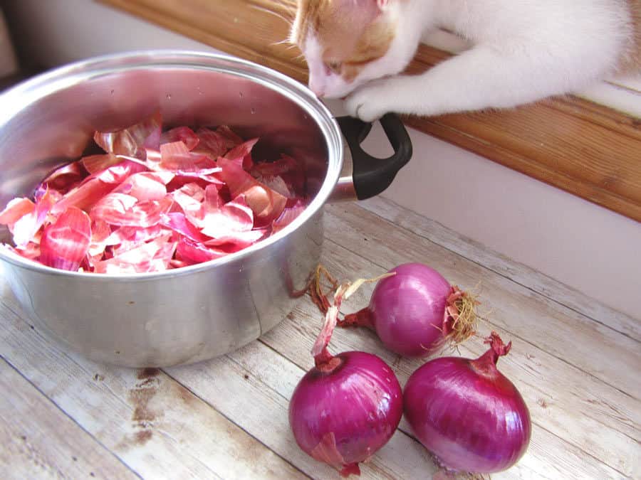 Onions And Onion Skins For Dyeing Eggs