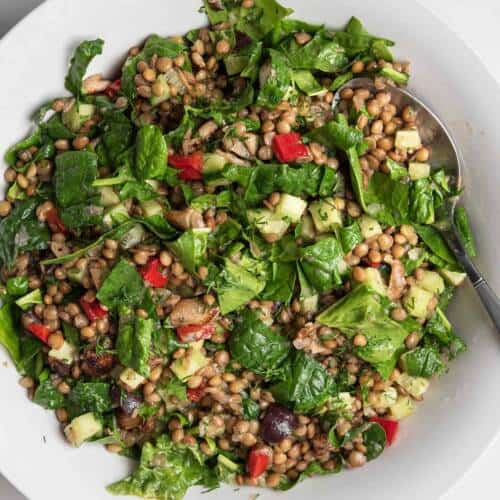 Healthy Lentil Salad Recipe (Vegan, Gluten-Free) Healthy Lentil Salad Recipe (Vegan, Gluten-Free)