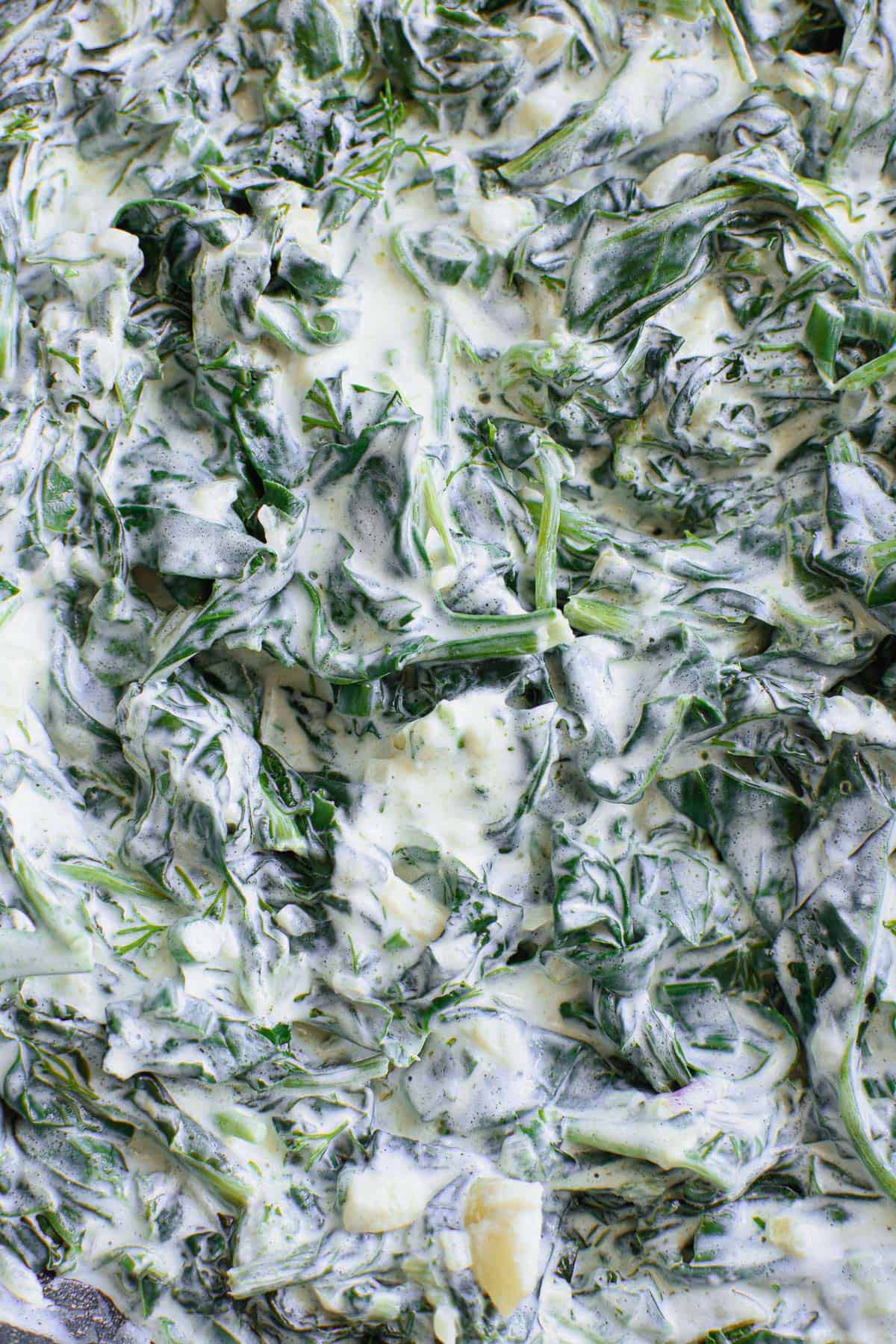 Healthy Creamed Spinach