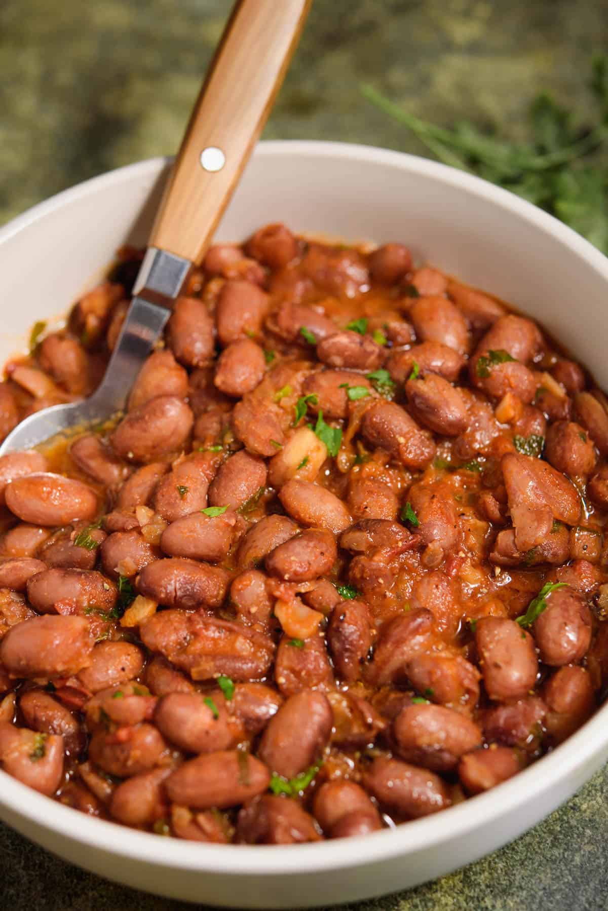 Borlotti Beans Recipe
