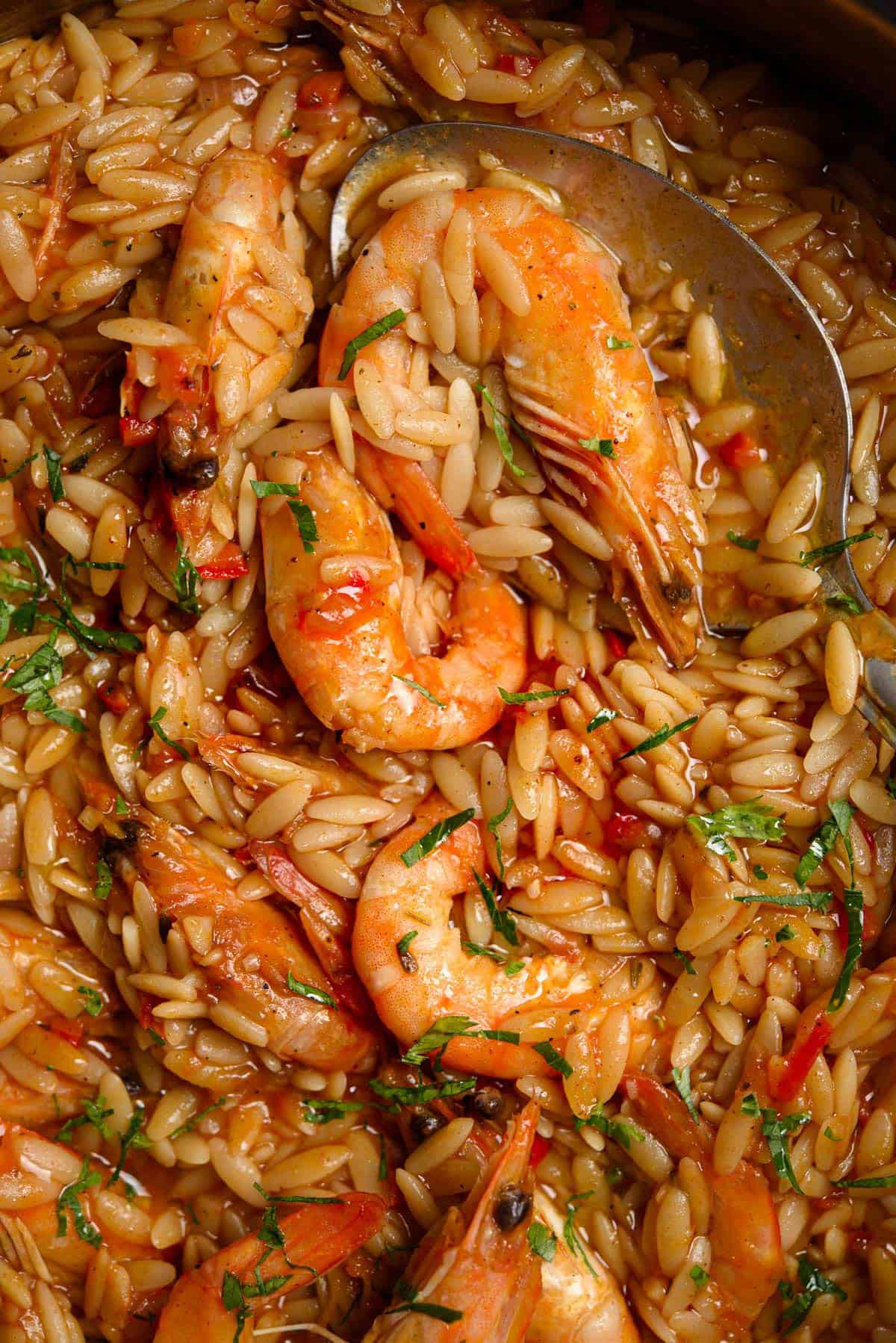 One Pot Shrimp And Orzo
