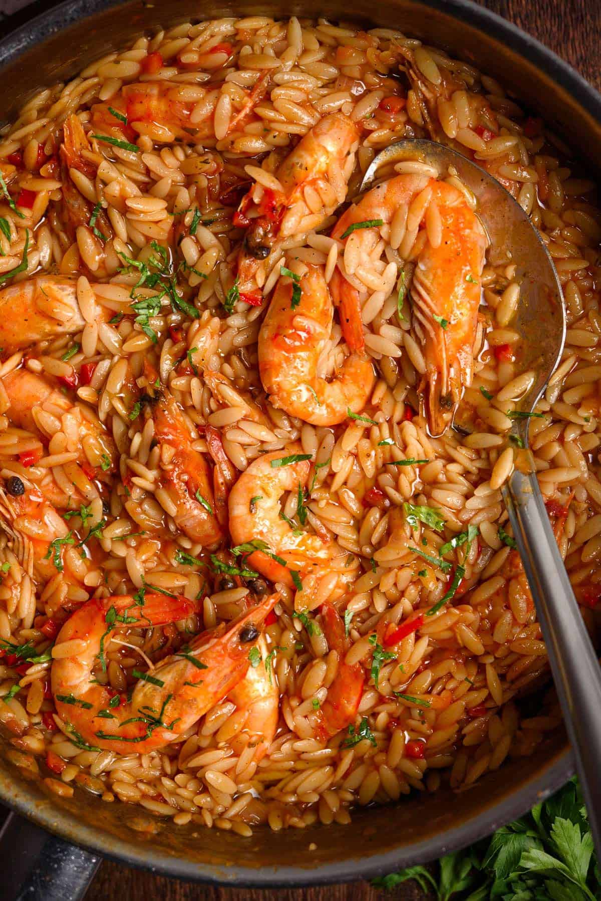 Tomato Shrimp Orzo